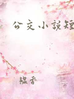 公交小说短篇