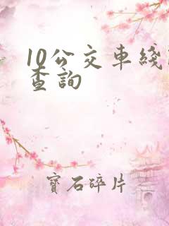 10公交车线路查询