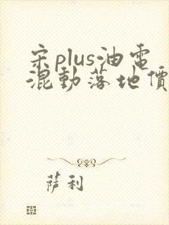 宋plus油电混动落地价明细