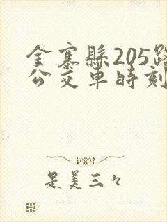 金寨县205路公交车时刻表
