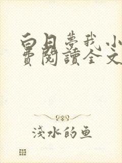 白日梦我小说免费阅读全文无删减