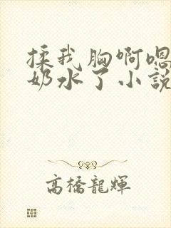 揉我胸啊嗯～出奶水了小说