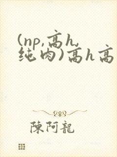 (np,高h,纯肉)高h高辣h