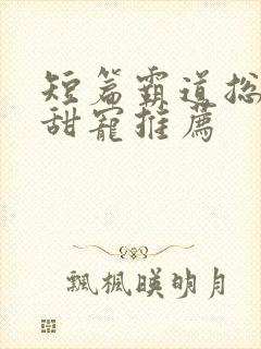 短篇霸道总裁文甜宠推荐