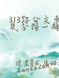 313路公交车几分钟一趟
