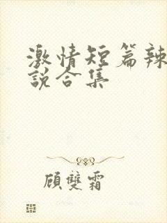 激情短篇辣文小说合集