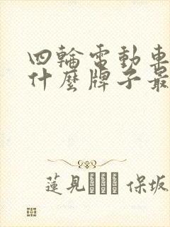 四轮电动车电瓶什么牌子最好耐用
