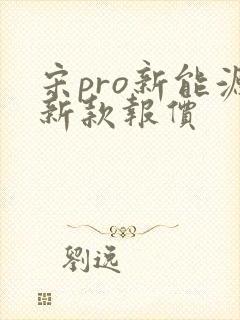 宋pro新能源新款报价