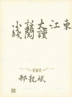 小说大江东去在线阅读