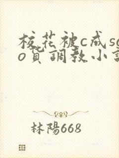 校花被c成sao货调教小说