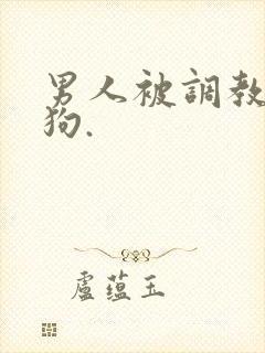 男人被调教成母狗.