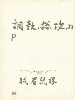 调教,总攻,np