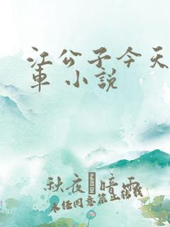 江公子今天不开车 小说