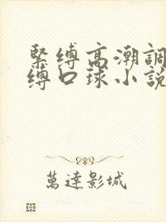 紧缚高潮调教束缚口球小说