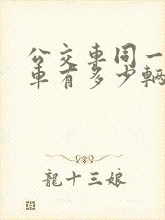 公交车同一路的车有多少辆