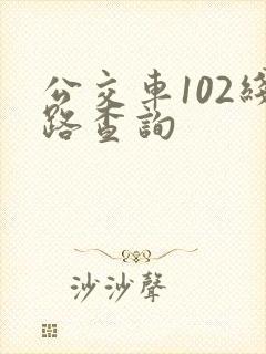 公交车102线路查询