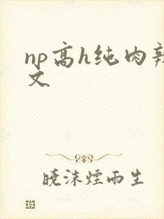 np高h纯肉辣文