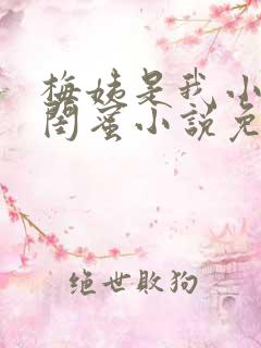 梅姨是我小妈的闺蜜小说免费阅读全文