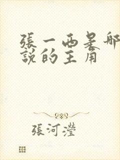 张一西是哪部小说的主角