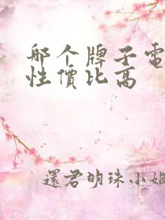 哪个牌子电动车性价比高