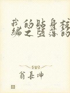 我的贴身校花改编之堕落的校花