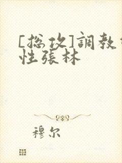 [总攻]调教双性张林