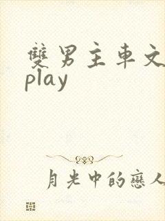 双男主车文失禁play