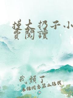 摸大扔子小说免费阅读