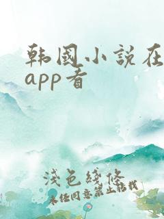 韩国小说在哪个app看 韩国小说在哪个app看