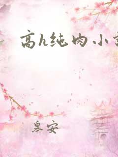 高h纯肉小说