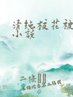 清纯校花被侵犯小说 清纯校花被侵犯小说
