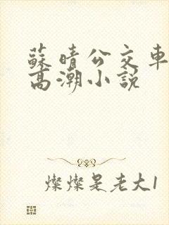苏晴公交车被弄高潮小说