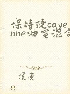 保时捷cayenne油电混合价格
