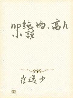 np纯肉.高h小说 np纯肉.高h小说