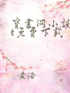 宝书网小说txt免费下载