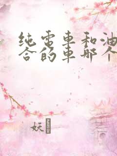 纯电车和油电混合的车哪个好