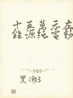 十五万元左右新能源纯电动汽车