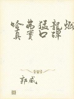 哈弗猛龙燃油版真实口碑
