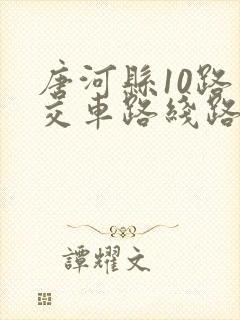 唐河县10路公交车路线路