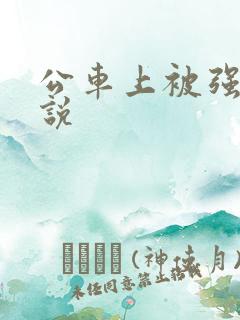 公车上被强上小说