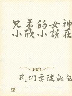 兄弟的女神女友小欣小说在线阅读