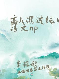 高h湿透纯肉放荡文np