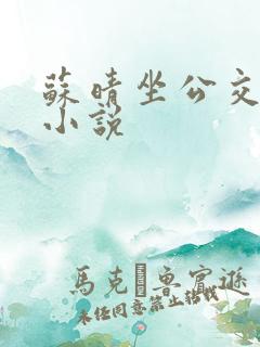 苏晴坐公交上班小说