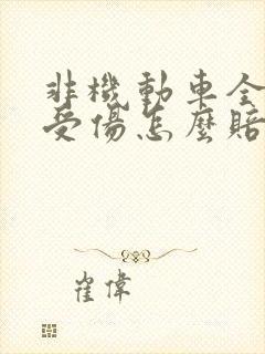 非机动车全责人受伤怎么赔