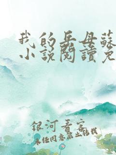 我的岳母苏沛真小说阅读免费