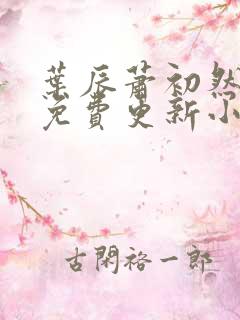 叶辰萧初然最新免费更新小说