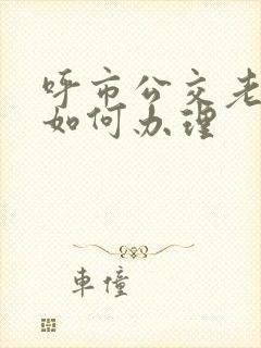 呼市公交老年卡如何办理 呼市公交老年卡如何办理