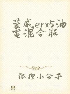 荣威erx5油电混合版