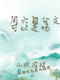 周六日公交车道可以走吗