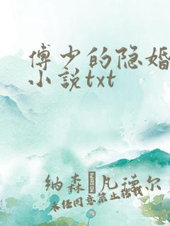 傅少的隐婚甜妻小说txt